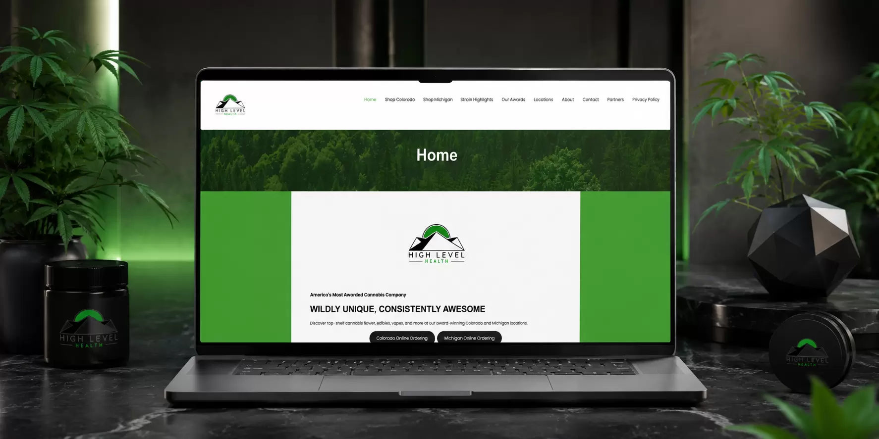 High Level Health Website Case Study