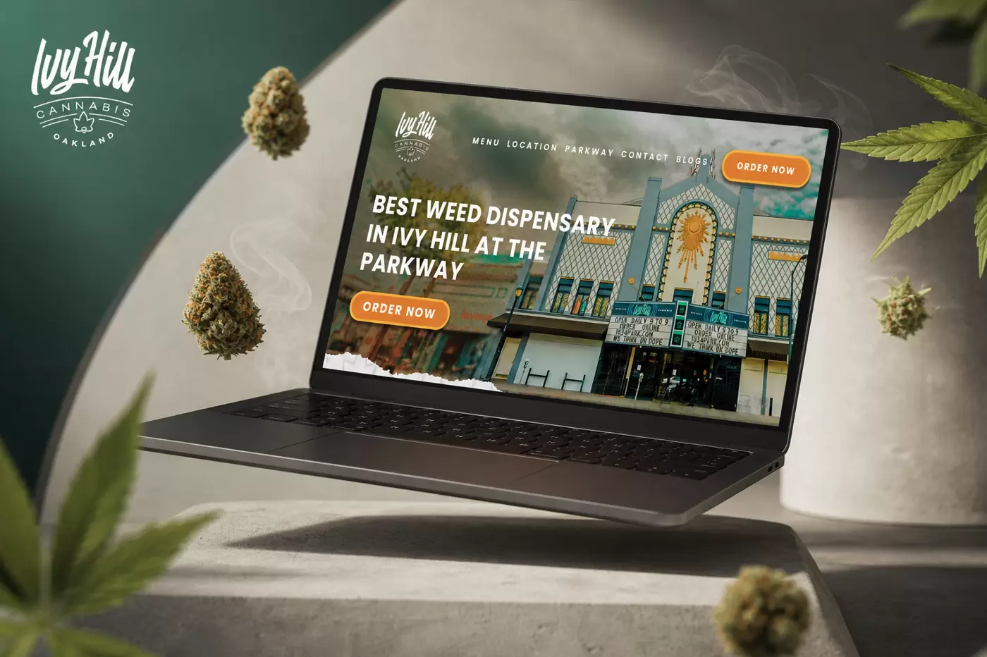 Ivy Hill Dispensary Case Study | Website Launch & SEO Growth