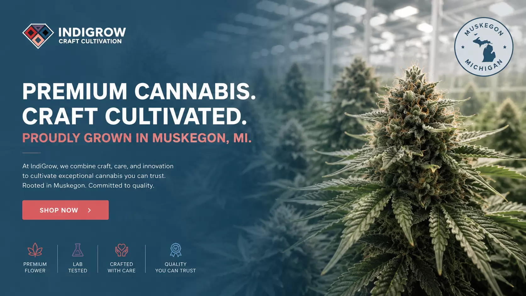 IndiGrow Craft Cannabis Website Case Study