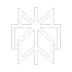 Perplexity Logo