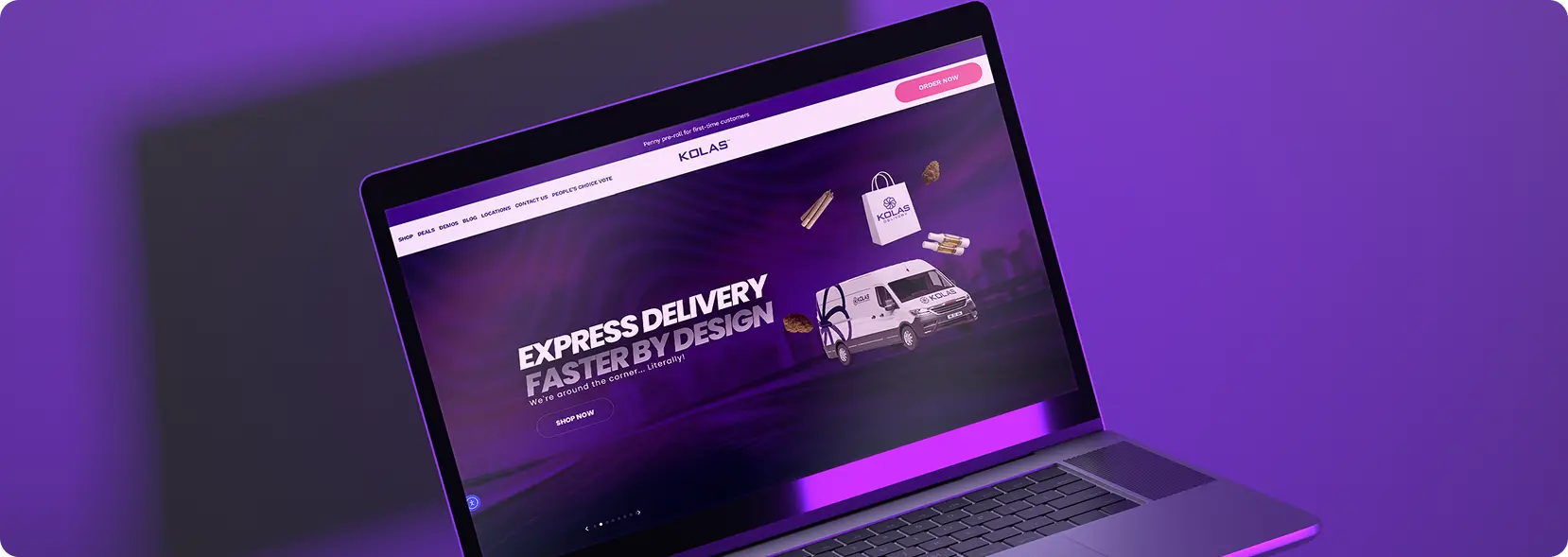 Website project showcase 1