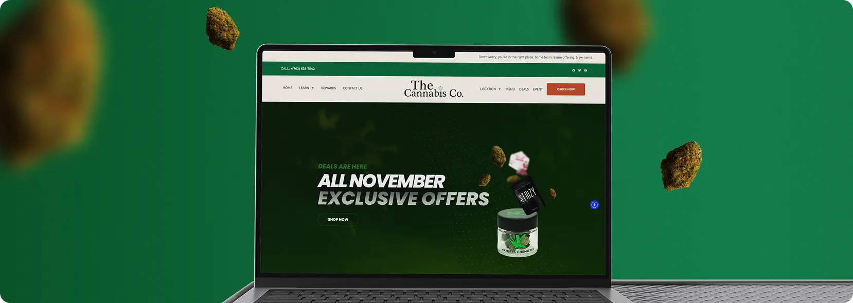 Website project showcase 3