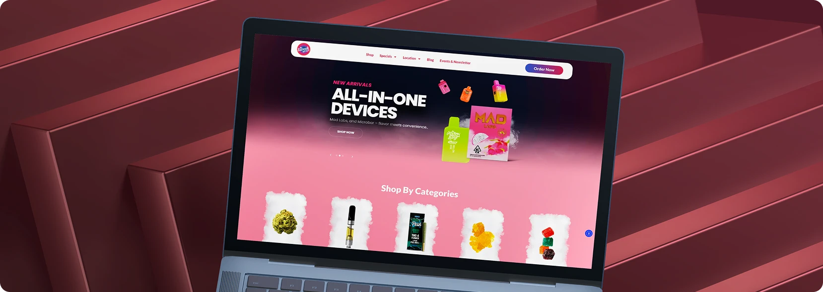 Website project showcase 4